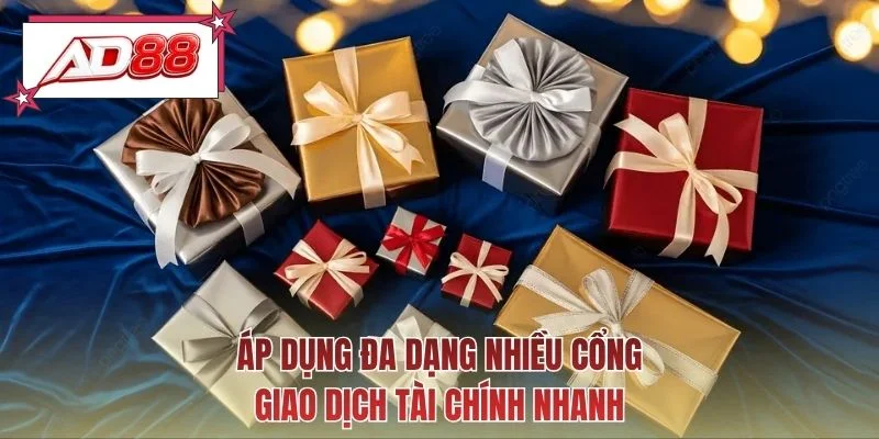 Áp dụng đa dạng nhiều cổng giao dịch tài chính nhanh