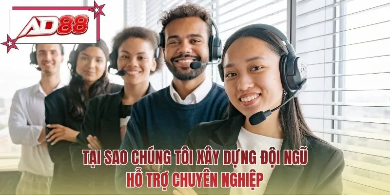 Tại sao chúng tôi xây dựng đội ngũ hỗ trợ chuyên nghiệp