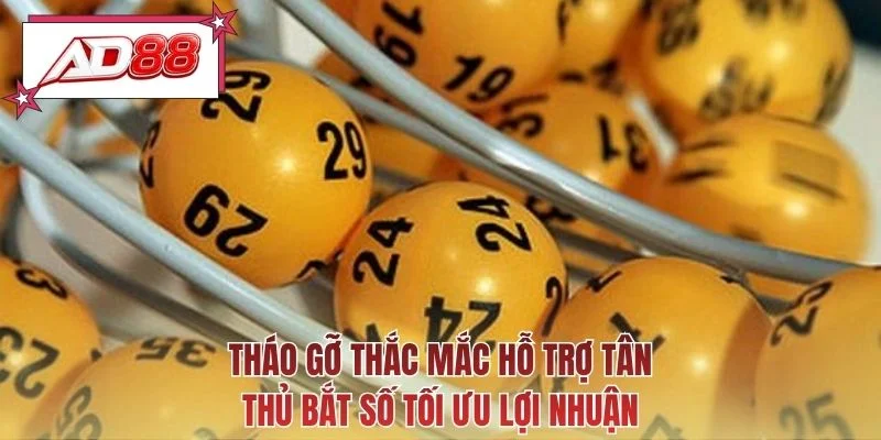 Tháo gỡ thắc mắc hỗ trợ tân thủ bắt số tối ưu lợi nhuận